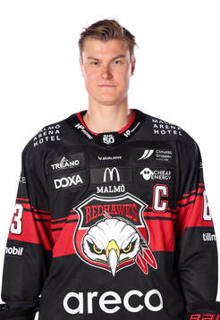 Malmö Redhawks Fredrik Händemark