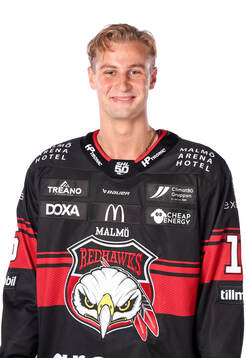 Malmö Redhawks Freddie Larsson
