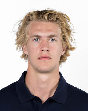 Simon Edvinsson of the Swedish men's national ice hockey
