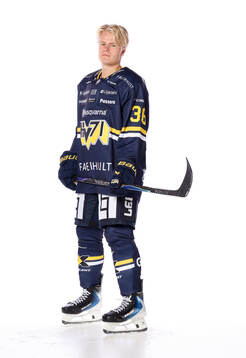 HV71s Martin Johnsen