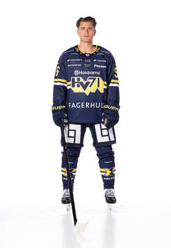 HV71s Nikola Pasic