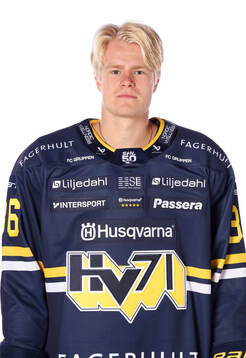 HV71s Martin Johnsen