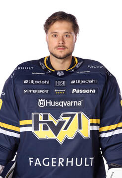 HV71s målvakt Frederik Dichow