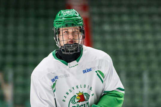 Vladimir Dravecký