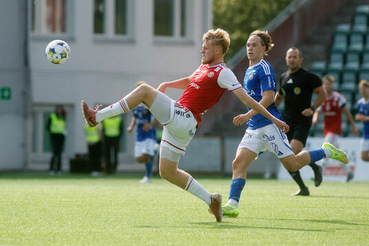 Sandvikens IFs Viggo van der Laan