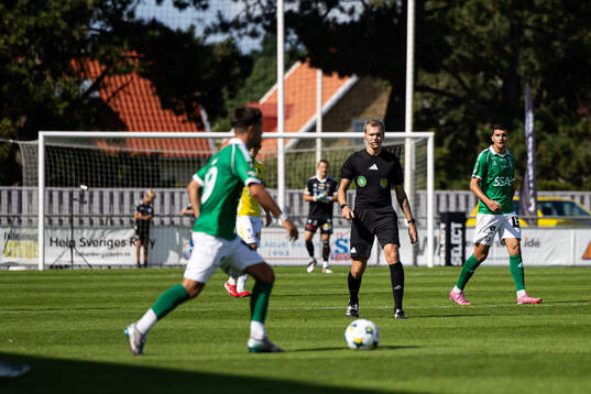 Domare Fredrik Alknäs