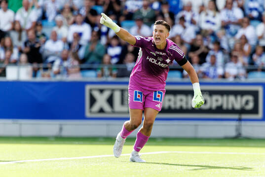 IFK Norrköpings målvakt David Andersson