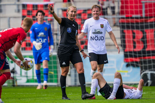 Domare Tess Olofsson