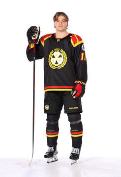 Brynäs Michal Svrcek