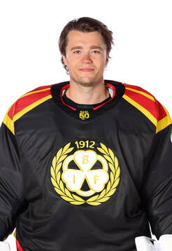 Brynäs målvakt Erik Källgren