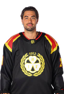 Brynäs Tyler Vesel