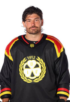 Brynäs Michal Kempny