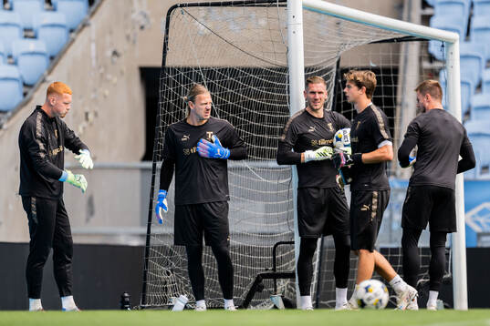 Goalkeeper Joakim Persson, goalkeeper Johan Dahlin,