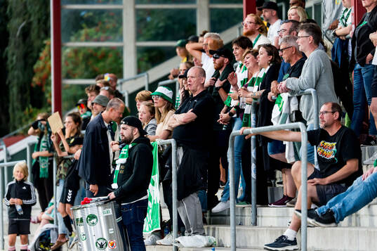 Hammarbys supportrar