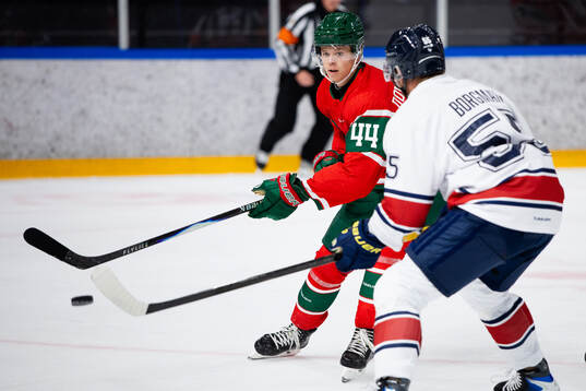 Frölundas Noah Dower Nilsson och HV71s Andreas Borgman