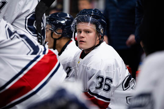 HV71s Martin Johnsen