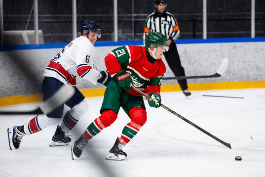 HV71s Karl Annborn och Frölundas Jere Innala