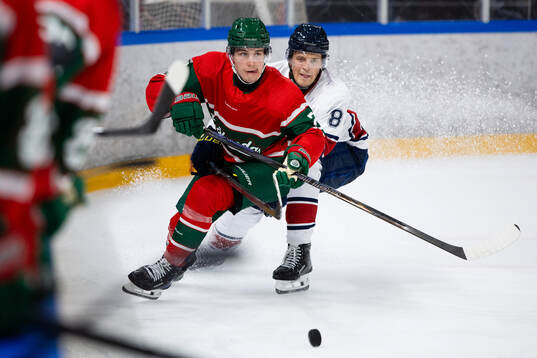 Frölundas Jere Innala och HV71s Lucas Lagerberg