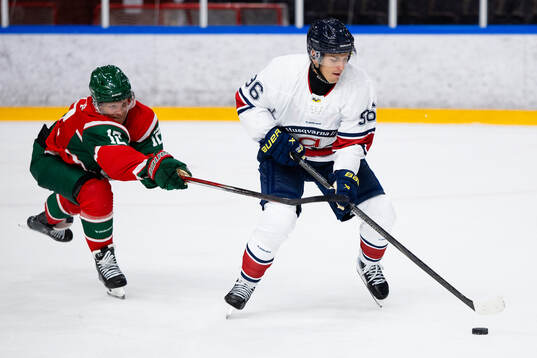 Frölundas Max Friberg och HV71s Nikola Pasic