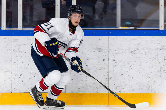 HV71s Aleksi Heponiemi