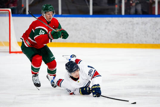 Frölundas Max Friberg och HV71s Nikola Pasic