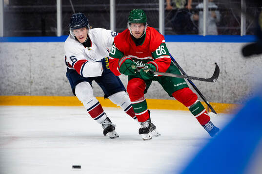 HV71s Karl Annborn och Frölundas Erik Thorell
