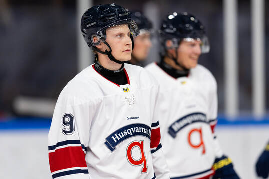 HV71s Hugo Pettersson