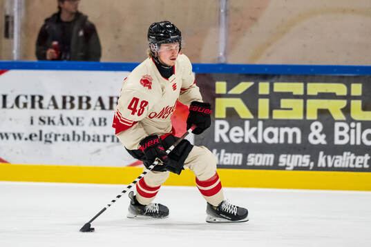 Malmö Redhawks Lauri Pajuniemi