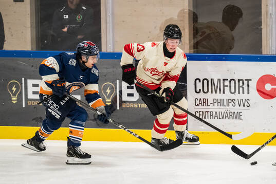 Växjös Felix Robert och Malmö Redhawks Petter Vesterheim