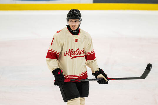 Malmö Redhawks Martin Schreiber