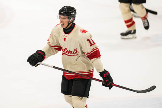 Malmö Redhawks William Von Barnekow