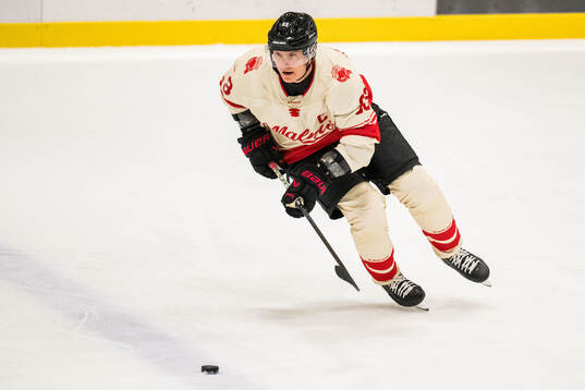 Malmö Redhawks Fredrik Händemark