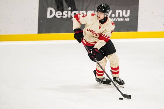Malmö Redhawks Martin Schreiber