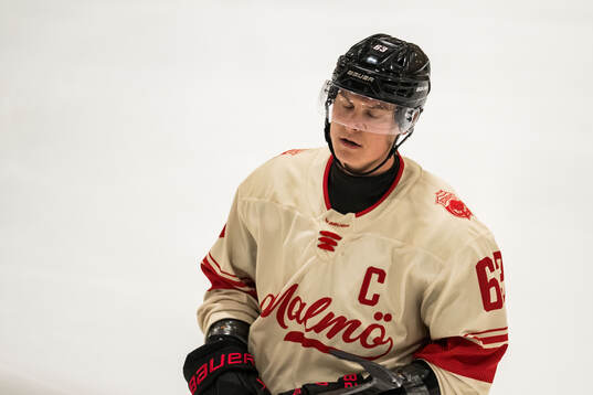 Malmö Redhawks Fredrik Händemark deppar