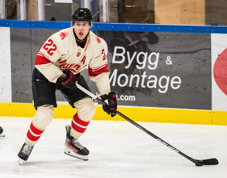 Malmö Redhawks Janne Kuokkanen
