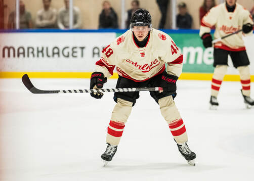 Malmö Redhawks Lauri Pajuniemi