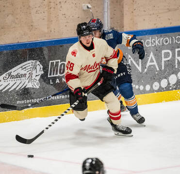 Malmö Redhawks Lauri Pajuniemi