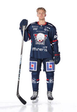Linköpings Johan Södergran