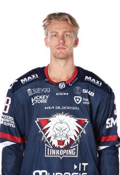 Linköpings Johan Södergran
