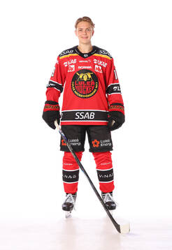 Luleås Neo Hirsch