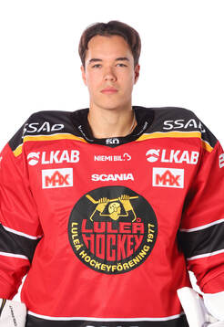 Luleås målvakt Matteus Ward