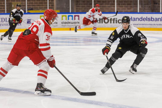 Brynäs Lucas Pettersson