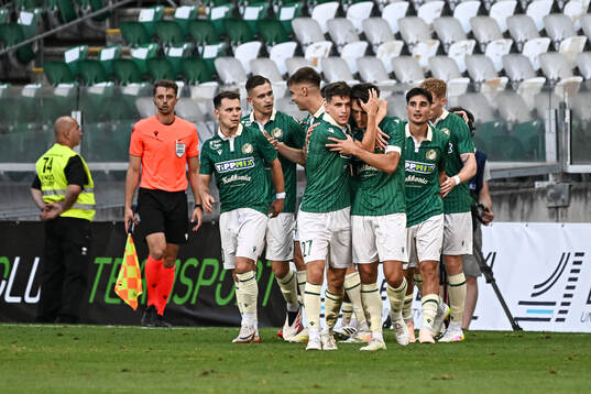 Zeljko Gavric of Györi ETO celebrate with teammates