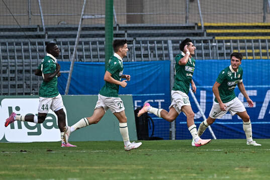 Zeljko Gavric of Györi ETO celebrates