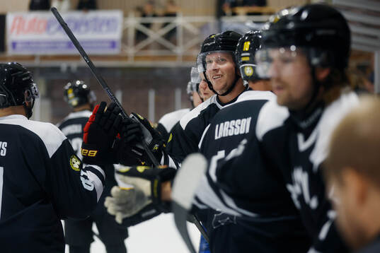 Brynäs Nicklas Bäckström