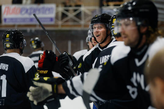 Brynäs Nicklas Bäckström