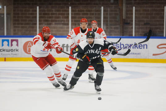 Brynäs Anton Rödin och Timrås Emil Pettersson