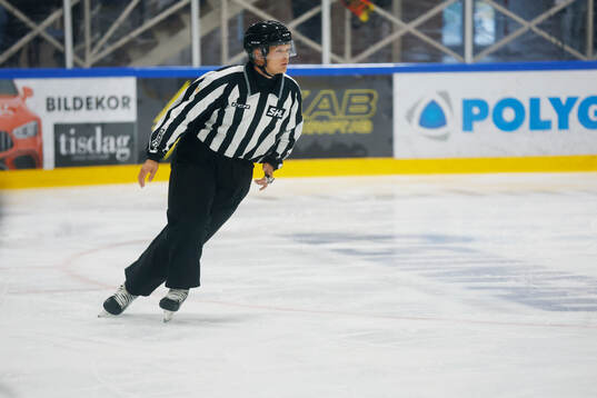 Domare William Henriksson
