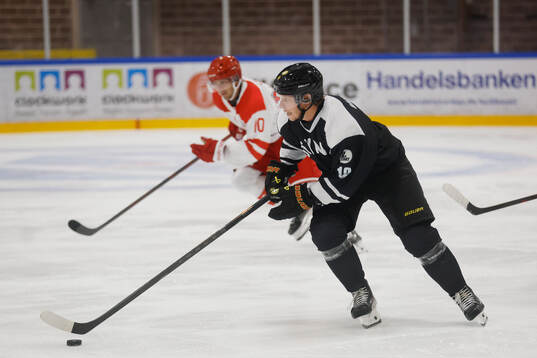Brynäs Nicklas Bäckström