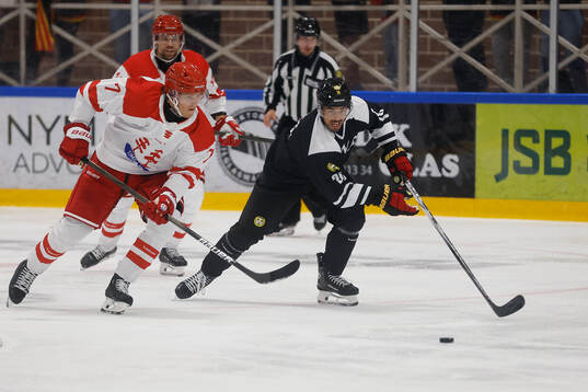 Timrås Marcus Hardegård och Brynäs Tyler Vesel
